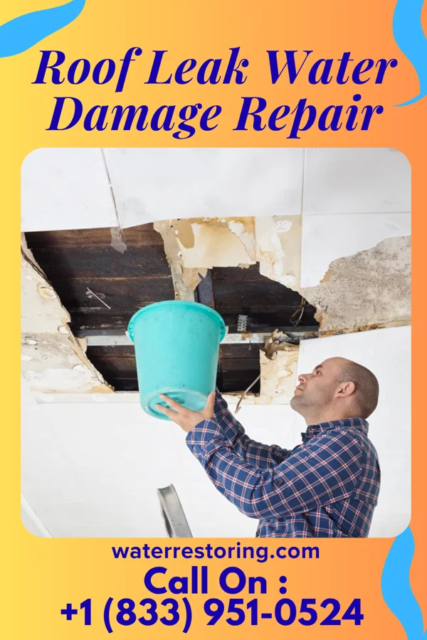 Roof Leak Water Damage Repair in Huckabay, TX